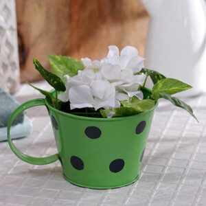 Small Polka Cup Planter